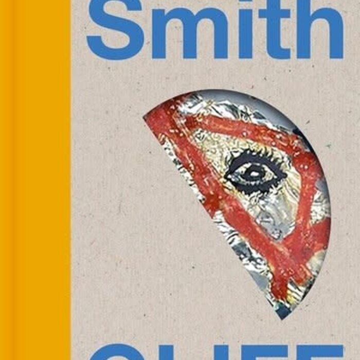 Ali Smith Gliff