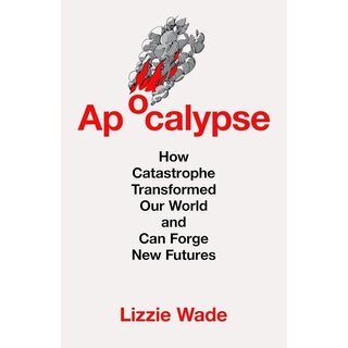 Apocalypse : How Catastrophe Transformed Our World and Can Forge New Futures