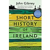 A Short History of Ireland, 1500-2000