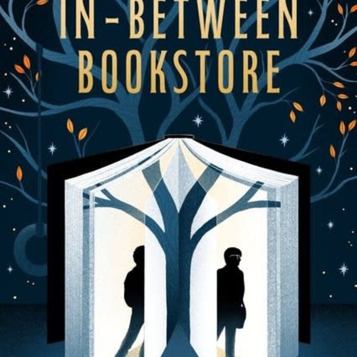 The In-Between Bookstore