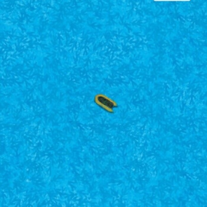 Small Boat