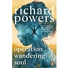 Operation Wandering Soul