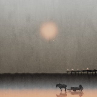 Seascraper