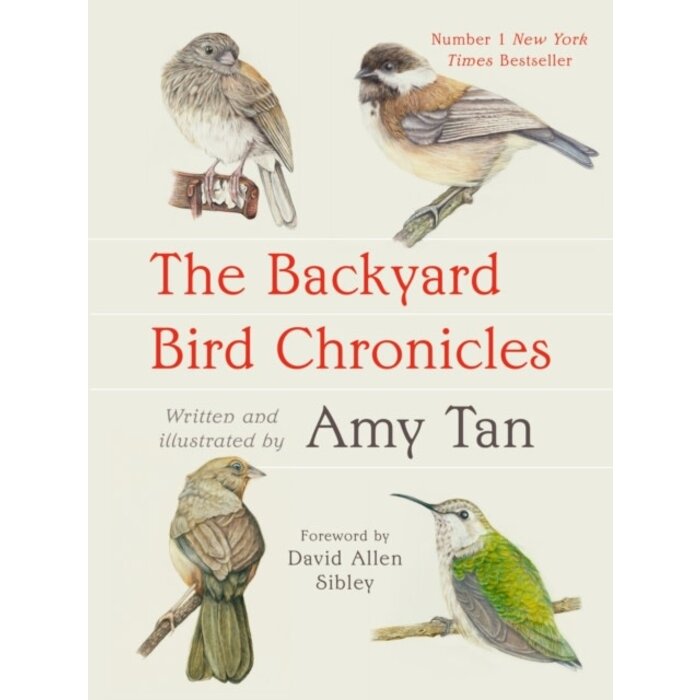 The Backyard Bird Chronicles