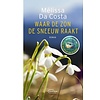 Waar de zon de sneeuw raakt