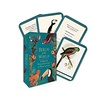 Birds of the World : A matching card and quiz game for bird lovers