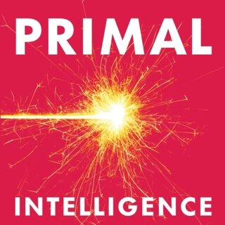 Primal Intelligence : You Are Smarter Than You Know