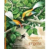 Sprookjes van ergens