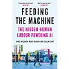 Feeding the Machine: The Hidden Human Labour Powering AI