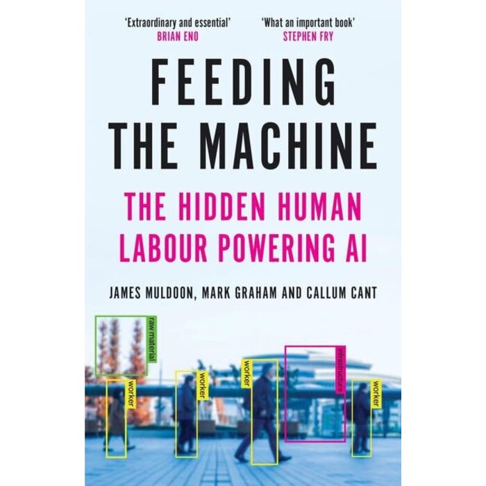 Feeding the Machine: The Hidden Human Labour Powering AI