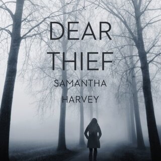 Dear Thief