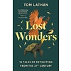 Lost Wonders