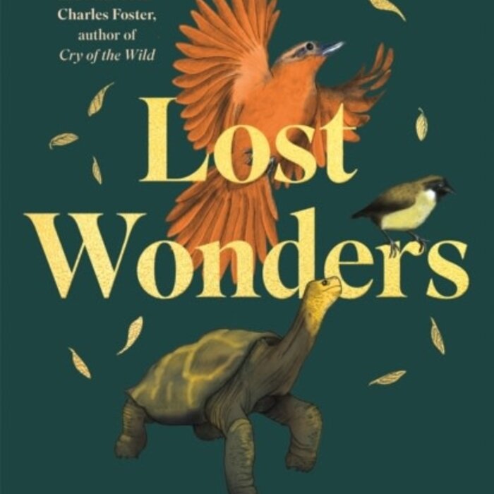 Lost Wonders