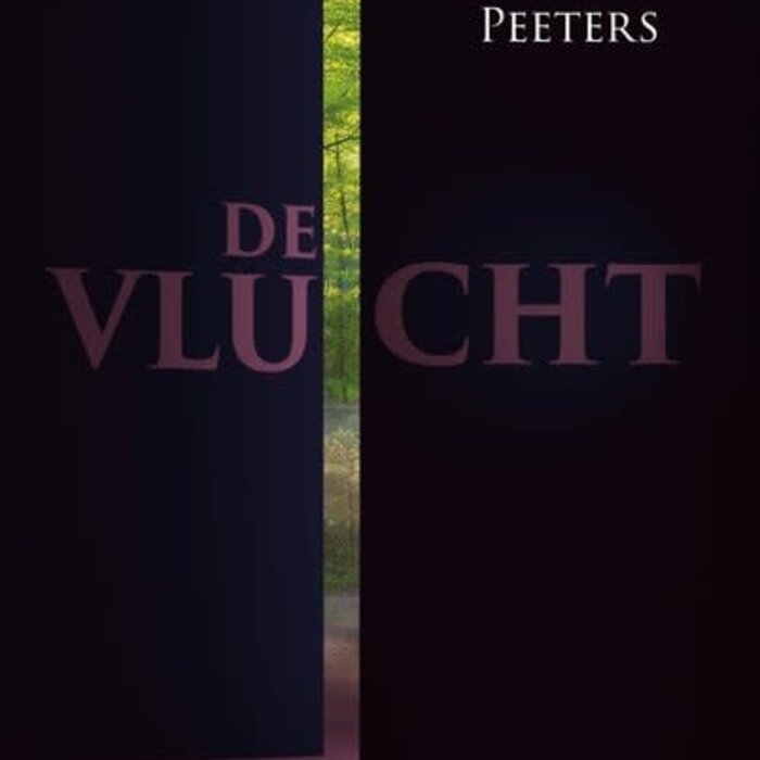 De vlucht