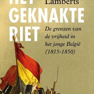 Het geknakte riet