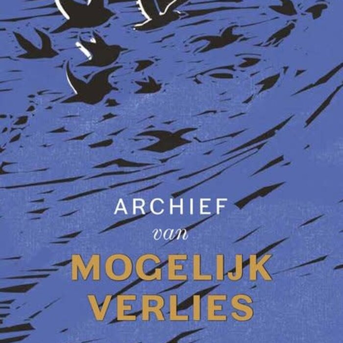 Archief van mogelijk verlies