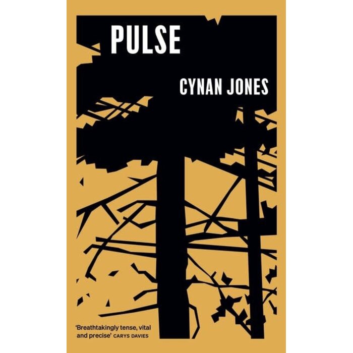 Cynan Jones Pulse
