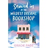 Snowed in at the Wildest Dreams Bookshop