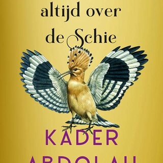 Ze vliegen nog altijd over de Schie