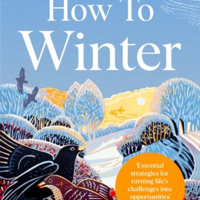 How to Winter : Harness Your Mindset to Thrive in Difficult Times