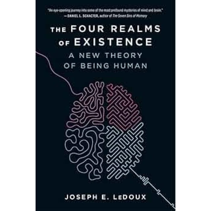 The Four Realms of Existence : A New Theory of Being Human