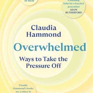 Overwhelmed : Ways to Take the Pressure Off