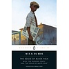 The Souls of Black Folk