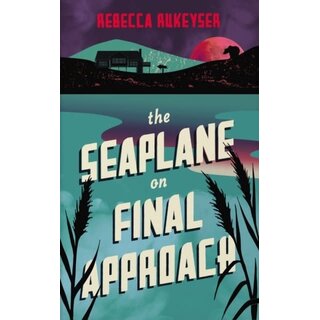 The Seaplane on Final Approach