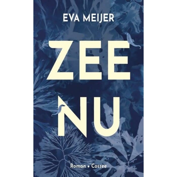 Zee Nu
