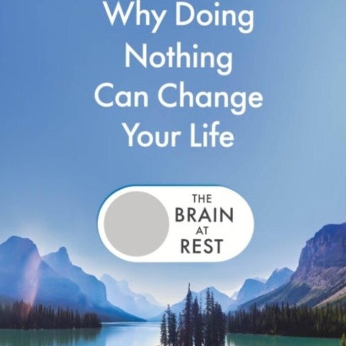 The Brain At Rest