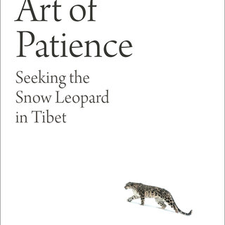 The Art of Patience : Seeking the Snow Leopard in Tibet