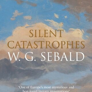 Silent Catastrophes: Essays in Austrian Literature