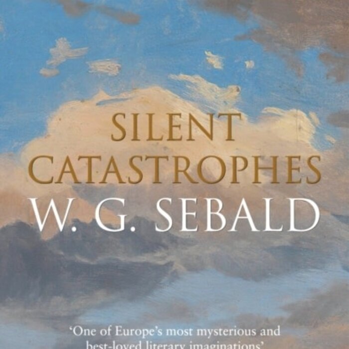 Silent Catastrophes: Essays in Austrian Literature