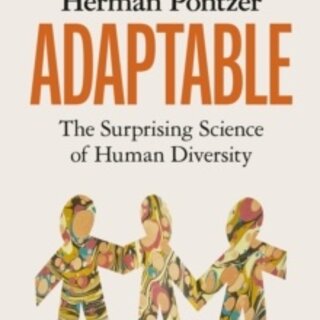 Adaptable
