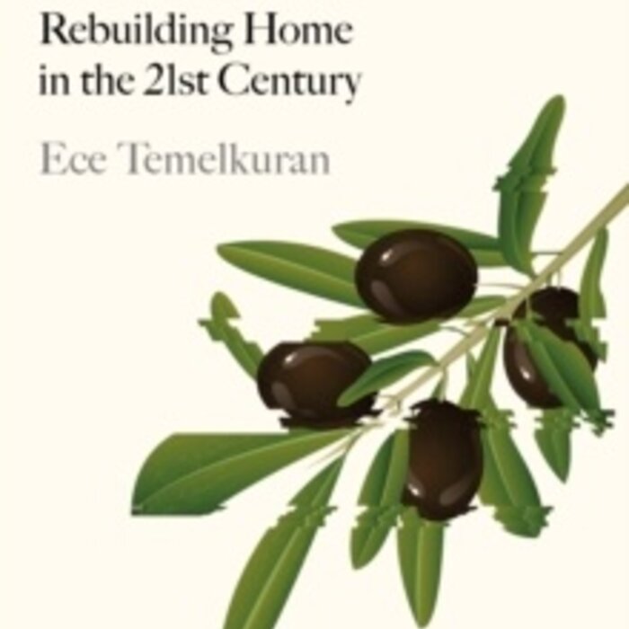 Nation of Strangers : Rebuilding Home in the 21st Century