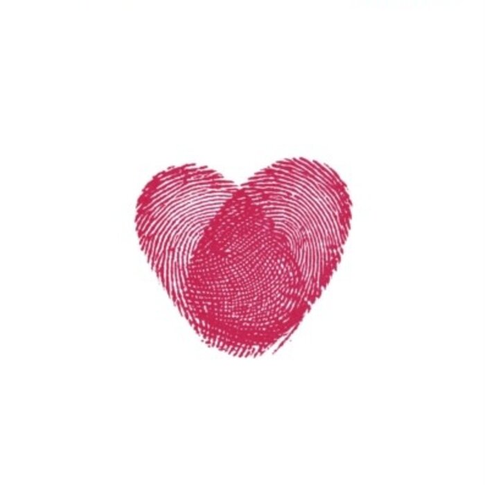 The Intimate Animal : The Science of Love, Fidelity and Connection