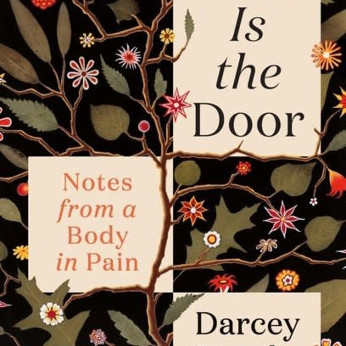 This Is the Door : Notes from a Body in Pain