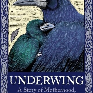 Underwing : A Story of Motherhood, Loss and Wild Intuition