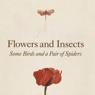Flowers and Insects, Some Birds and a Pair of Spiders