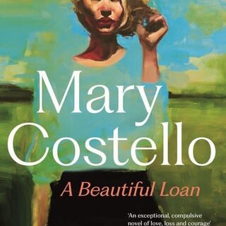 A Beautiful Loan
