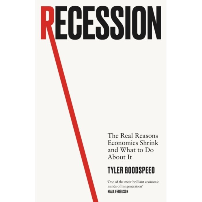 Recession : The Real Reasons Economies Shrink and What to Do About It