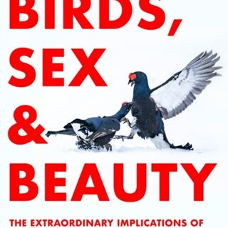 Birds, Sex and Beauty