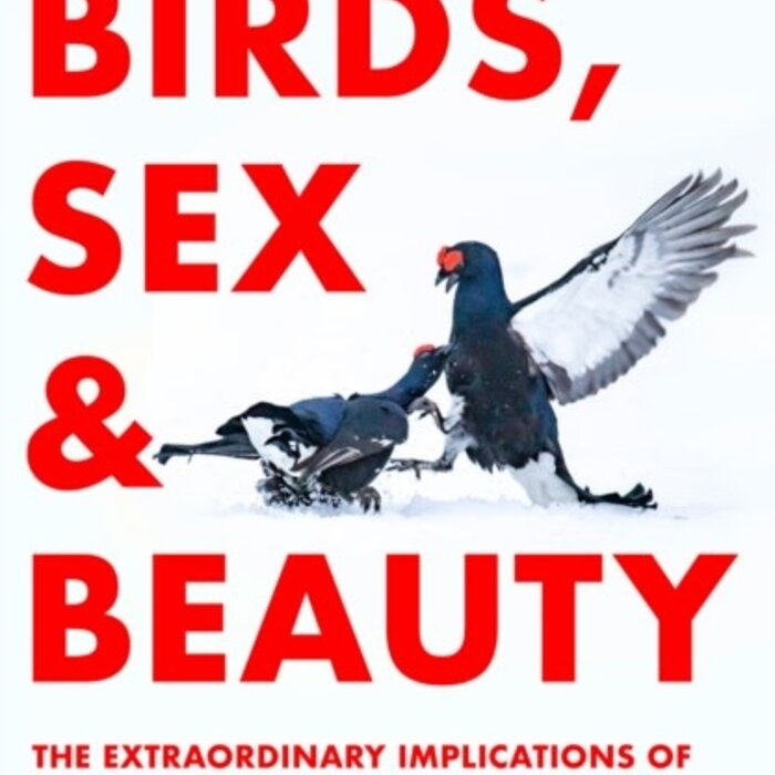 Birds, Sex and Beauty