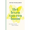 Het leven van een boom