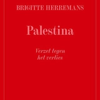 Palestina, verzet tegen het verlies