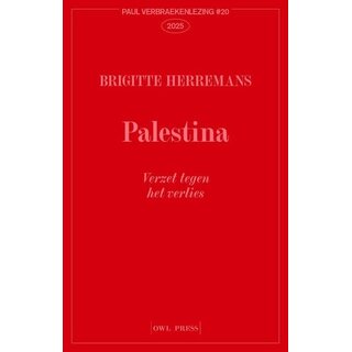 Palestina, verzet tegen het verlies