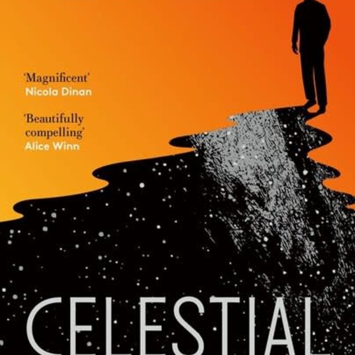 Celestial Lights