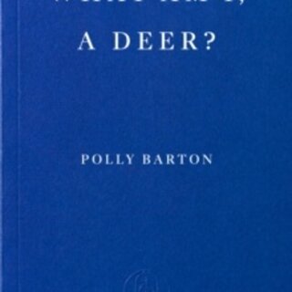 What Am I, A Deer?