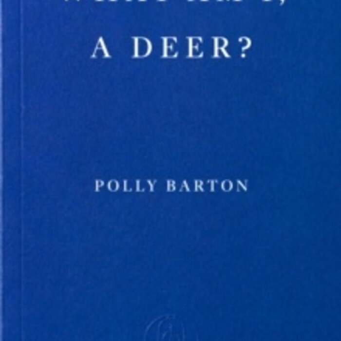 What Am I, A Deer?