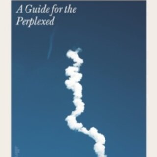 Muskism: A Guide for the Perplexed
